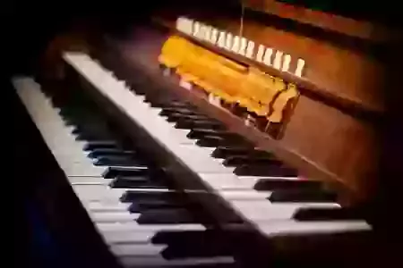 Organ bursary